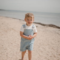 Everett Short Overalls - DENIM STRIPES