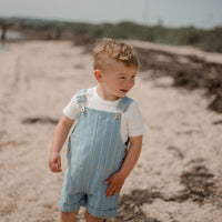 Everett Short Overalls - DENIM STRIPES